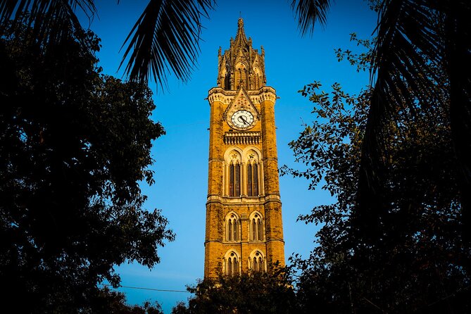 Bombay Fort Heritage Walking Tour - Oval Maidan: cricket country and a skyline view in one public space