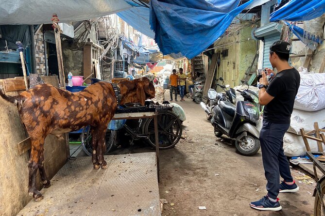 Dharavi Slum Tour in Mumbai with Combo Packages & Transfers - The Human Factor: Chai, Stories, and Helpful Small Moments