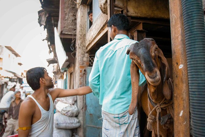 Dharavi Tour Including Car Transfer - Value for Money: Is $36.29 Really Enough?