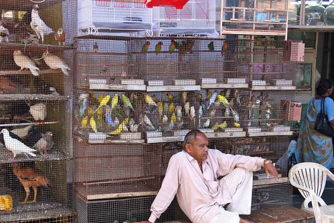 Explore the New colorful places in Mumbai Market Tour - Price and value: what $36.24 buys you in Mumbai