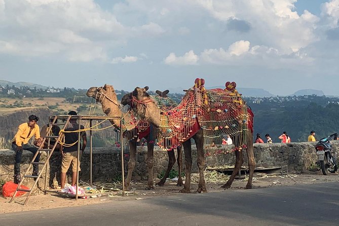 Lonavla Hill Station Tour - Food Breaks You Can Plan Around (and What Costs Extra)