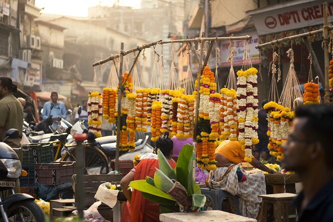 Mumbai Bicycle Tour - Bombay Panjrapole: feeding cows and learning a different kind of Mumbai