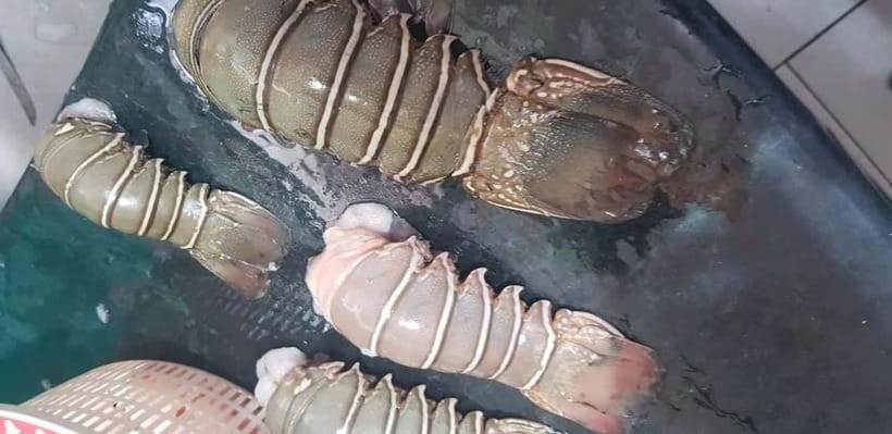 Mumbai Coastal Cooking: From Fishing Net to Flavourful Plate - From pickup to fishermen’s docks: the tour’s fast, friendly start