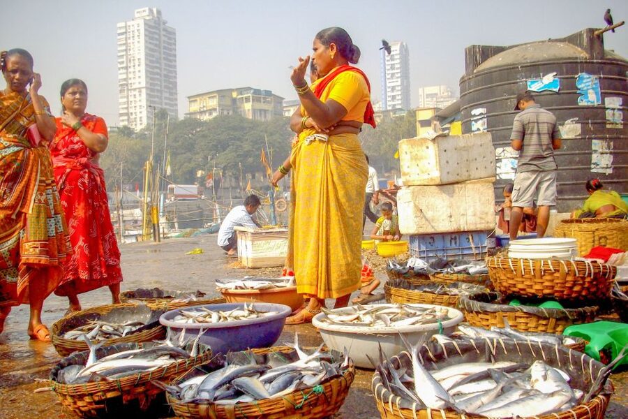 Mumbai: Full-Day Private Sightseeing Tour - Chhatrapati Shivaji Maharaj Vastu Sangrahalaya: optional, and that choice affects your day