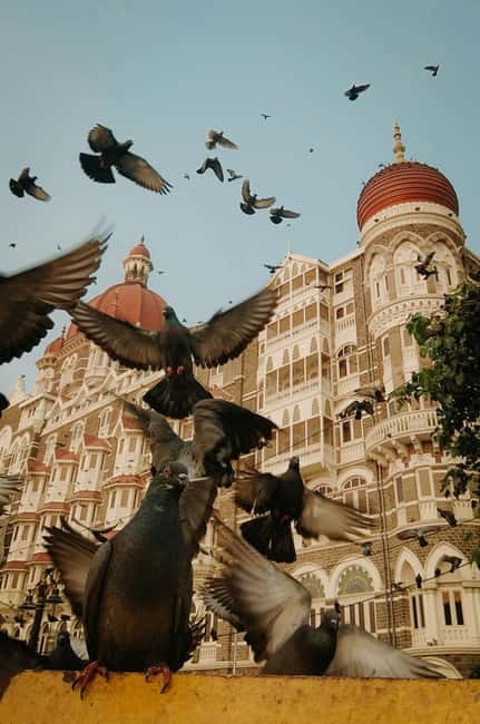 Mumbai: Half-Day City Tour with a Local - The Local Train Ride: Mumbai’s Lifeline, Up Close