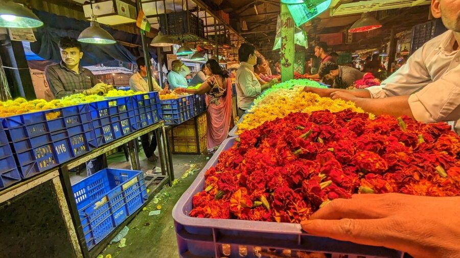 Mumbai Hidden Gems : Early Morning Tour with Expert Guide - Dadar Flower Market + Vegetable Market: Great Photos and Real Buying