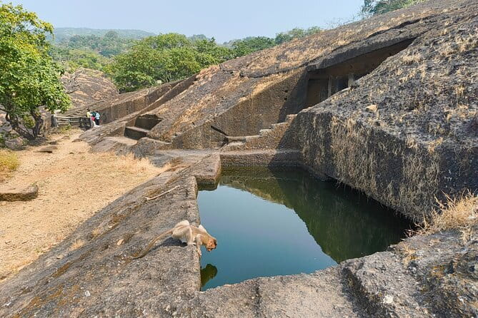 Mumbai Kanheri Caves & Golden Pagoda – A Buddhist Settlement - A realistic timeline: what 4.5 hours actually feels like