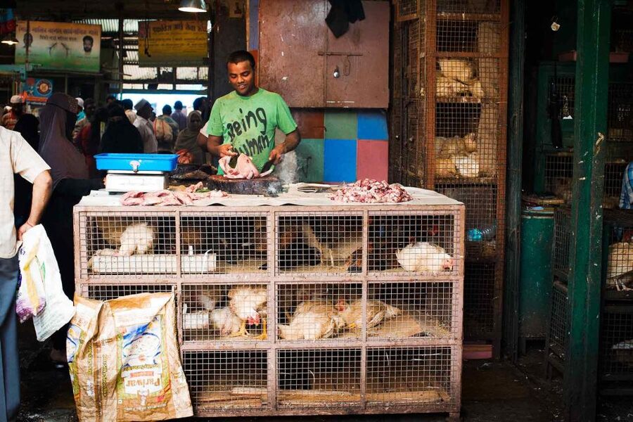 Mumbai: Local Transport & Dabbawallah Tour - Chor Bazaar: Bargain Energy at One of India’s Big Flea Markets