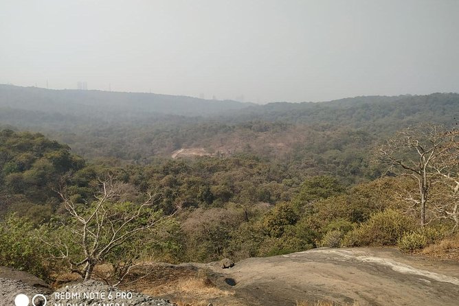 Private Kanheri- Buddhist Cave Tour - Should you book this Kanheri Caves private tour?