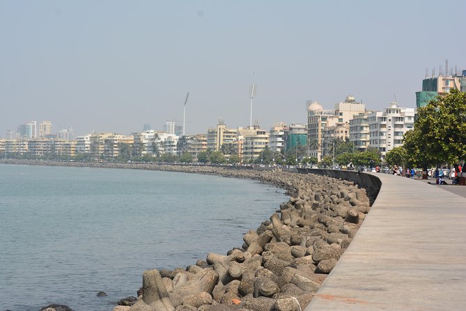 Private Mumbai Sightseeing Tour (Traveller's Choice Award Winner) - Dhobi Ghat: seeing a daily routine up close