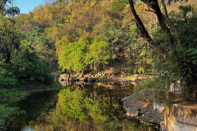 Sanjay Gandhi National Park and Kanheri Caves Day Private Tour - Sanjay Gandhi National Park + Kanheri Caves: A Smart Half-Day Pair in Mumbai