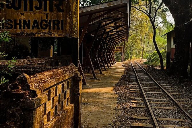 Sanjay Gandhi National Park and Kanheri Caves Day Private Tour - Sanjay Gandhi National Park: Where to Focus Your Safari or Nature Walk
