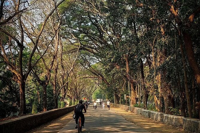 Sanjay Gandhi National Park and Kanheri Caves Day Private Tour - Timing and Weather: Planning for a Smooth Day