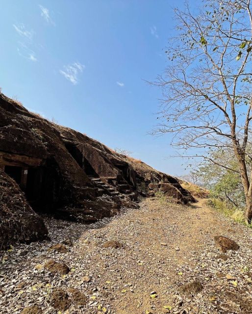 Sanjay Gandhi National Park + Kenheri Caves + Lion Safari - Kanheri Caves (Kenheri): 109 Caves, Carvings, and the Hill Walk