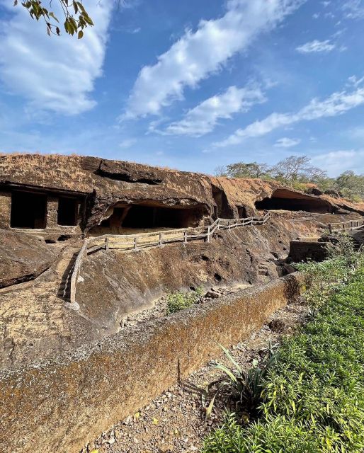 Sanjay Gandhi National Park + Kenheri Caves + Lion Safari - Price and Value Around $54 for a Guided, Ticket-Included Tour