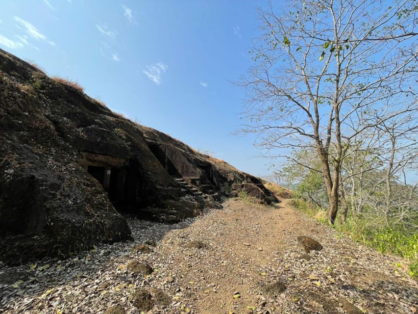 Sanjay Gandhi National Park + Kenheri Caves + Lion Safari - Should You Book This Sanjay Gandhi and Kenheri Combo?