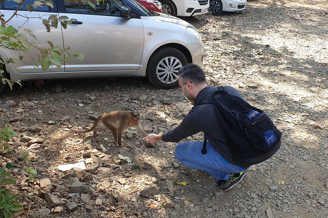 Sanjay Gandhi National Park(SGNP) + Kenheri Caves + Lion Safari + Jain Temple - What to bring so the day feels easy