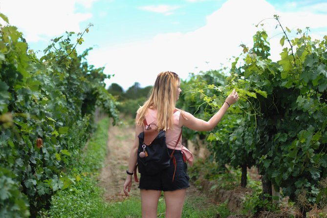 Sula Vineyards Day tour from either Mumbai OR Nashik - Key Things to Know Before You Go